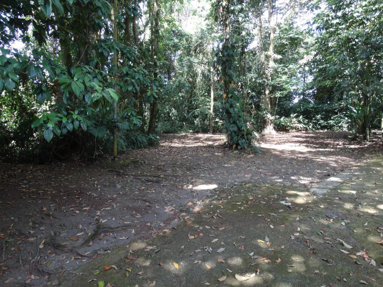 Horquetas River Lodge Sarapiquí Dış mekan fotoğraf
