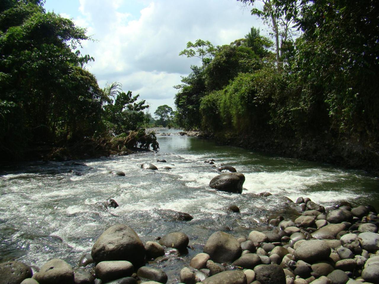 Horquetas River Lodge Sarapiquí Dış mekan fotoğraf