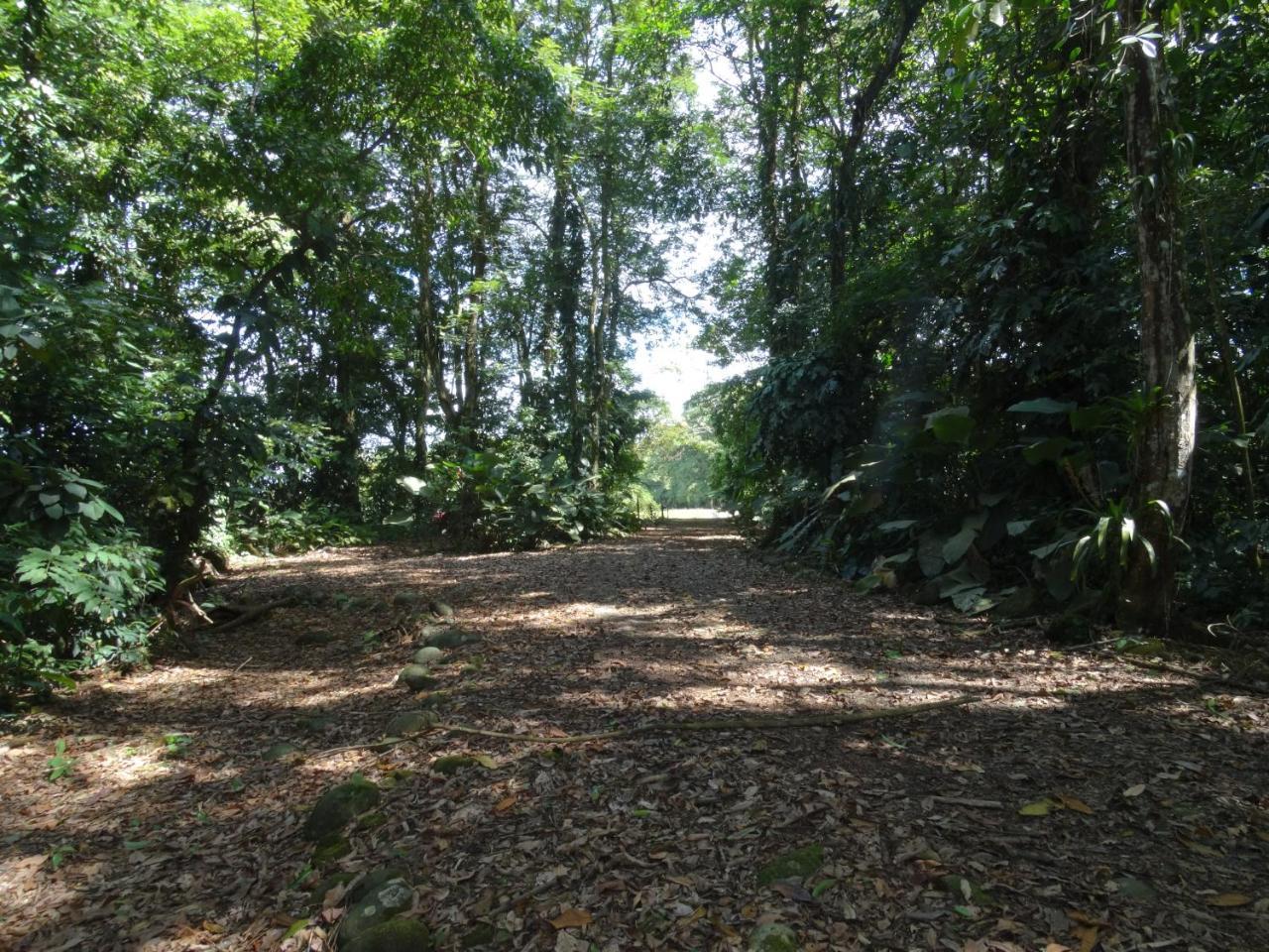 Horquetas River Lodge Sarapiquí Dış mekan fotoğraf