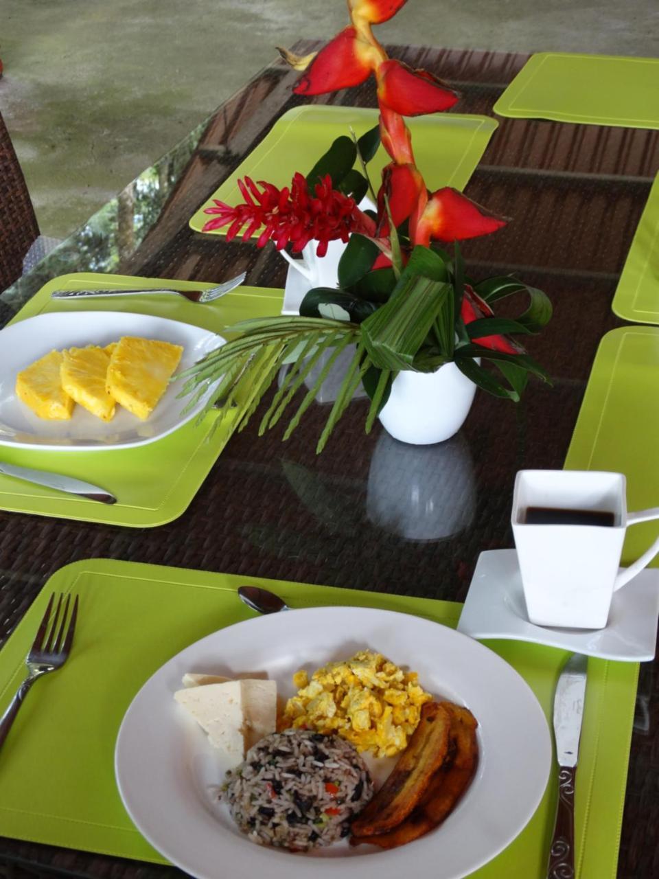 Horquetas River Lodge Sarapiquí Dış mekan fotoğraf