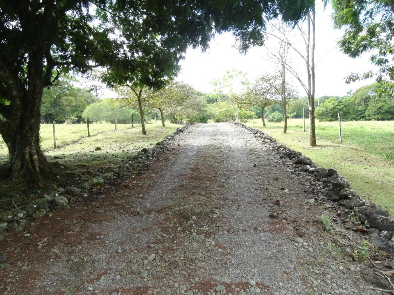Horquetas River Lodge Sarapiquí Dış mekan fotoğraf