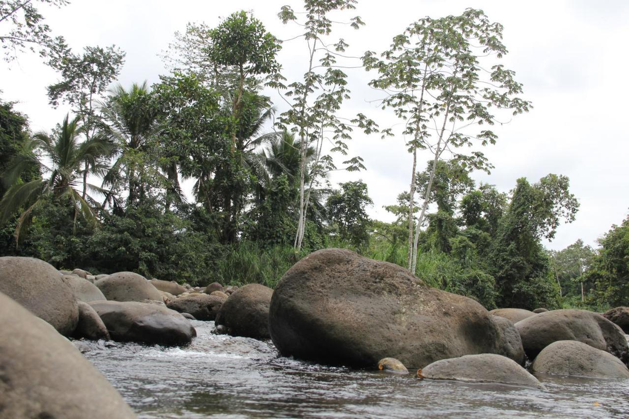 Horquetas River Lodge Sarapiquí Dış mekan fotoğraf