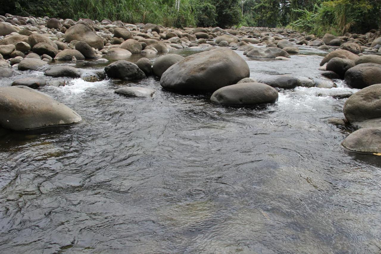 Horquetas River Lodge Sarapiquí Dış mekan fotoğraf