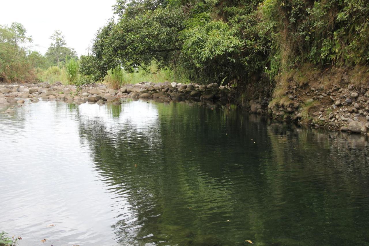 Horquetas River Lodge Sarapiquí Dış mekan fotoğraf