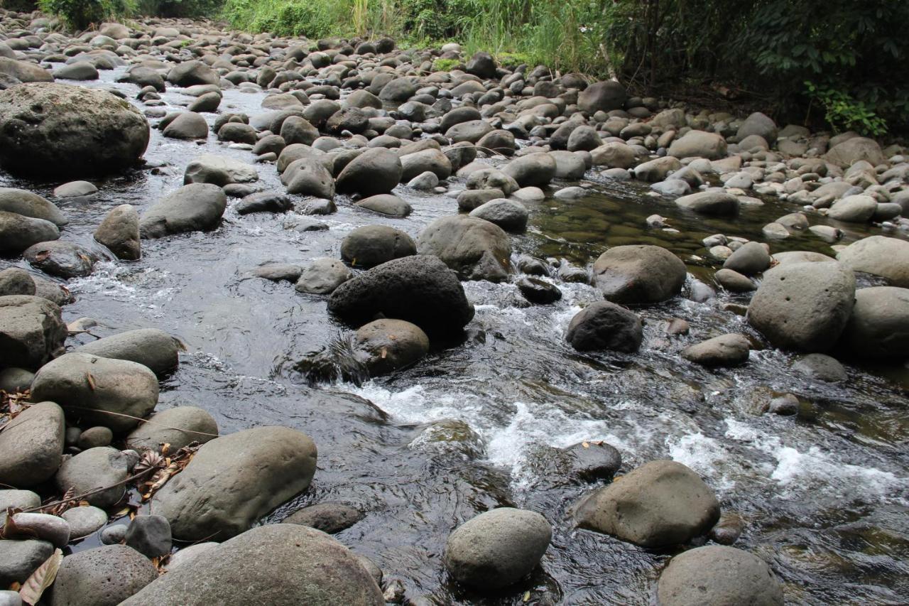 Horquetas River Lodge Sarapiquí Dış mekan fotoğraf