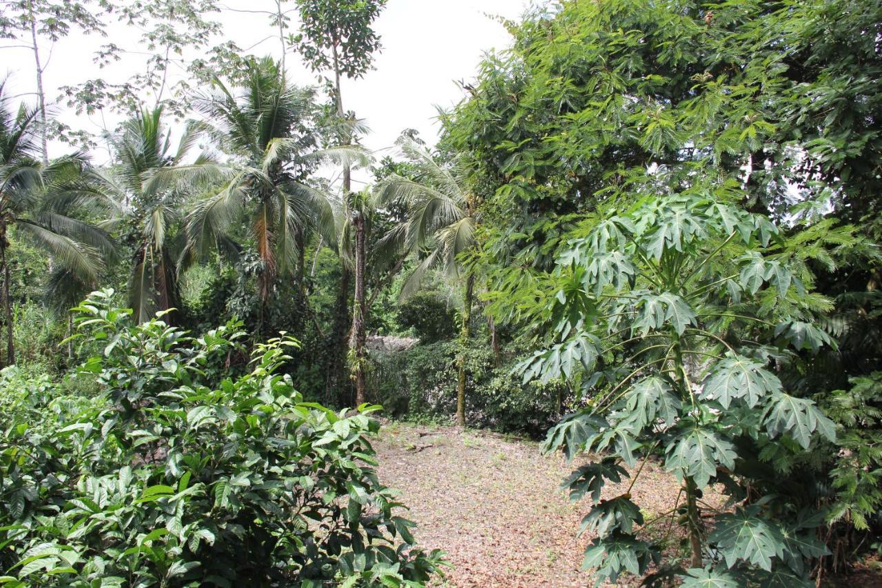 Horquetas River Lodge Sarapiquí Dış mekan fotoğraf