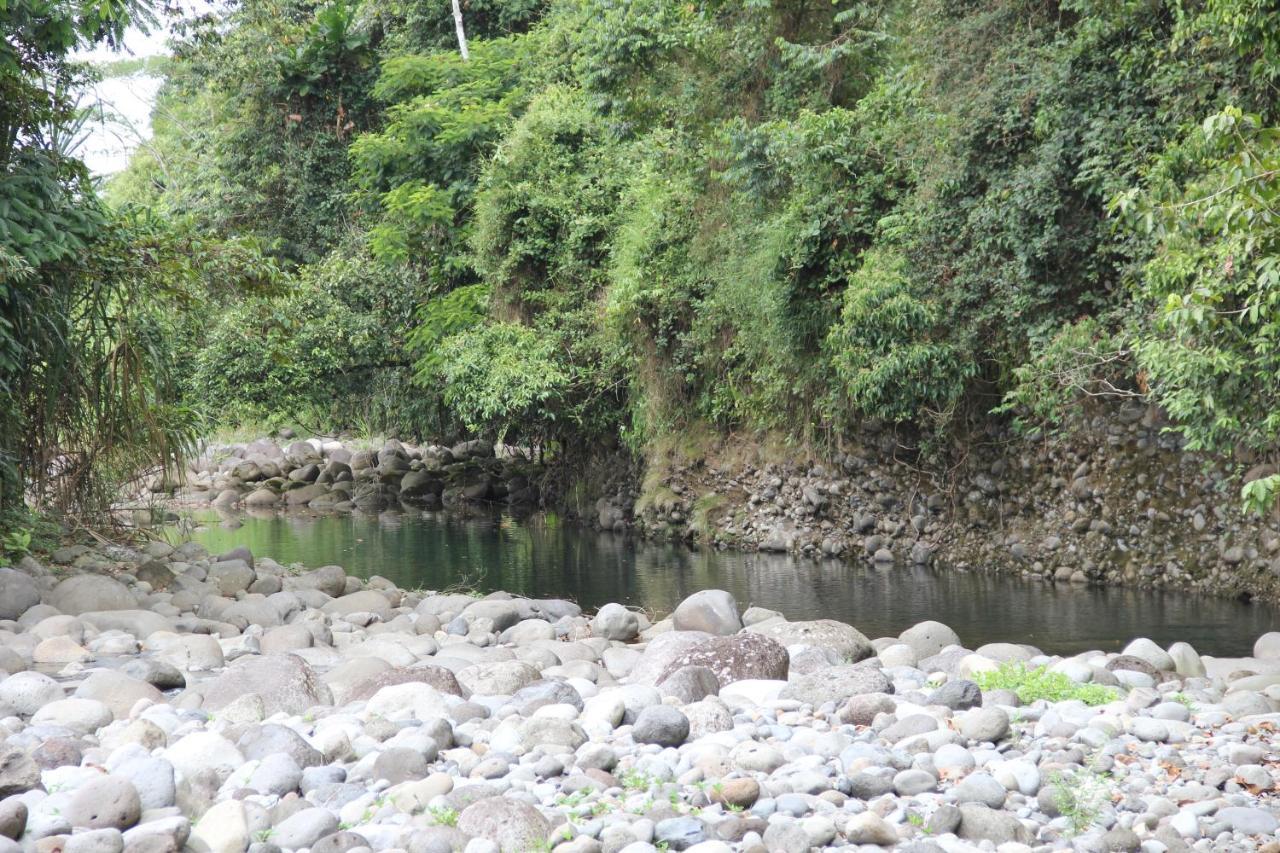 Horquetas River Lodge Sarapiquí Dış mekan fotoğraf