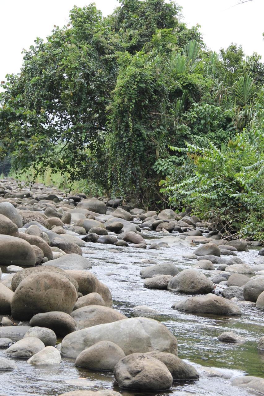 Horquetas River Lodge Sarapiquí Dış mekan fotoğraf