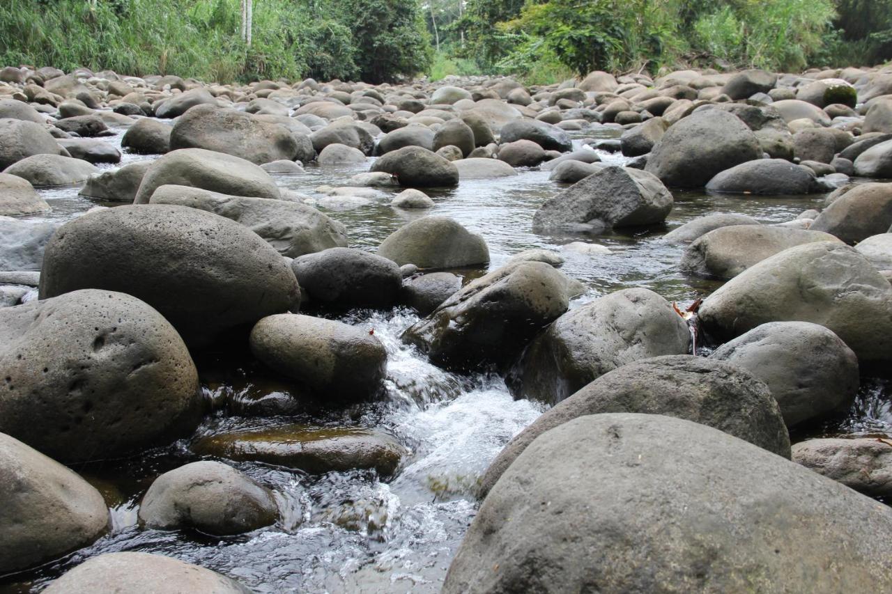 Horquetas River Lodge Sarapiquí Dış mekan fotoğraf