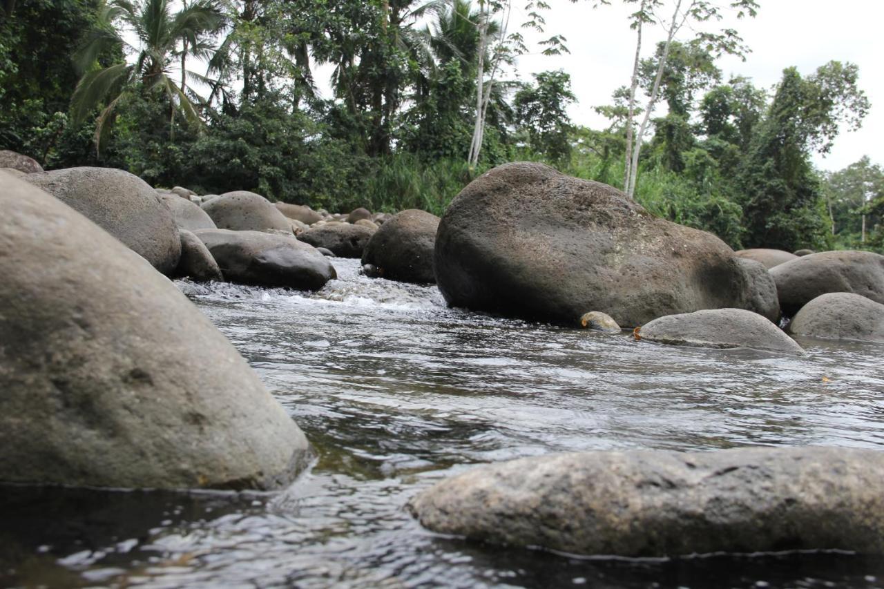 Horquetas River Lodge Sarapiquí Dış mekan fotoğraf