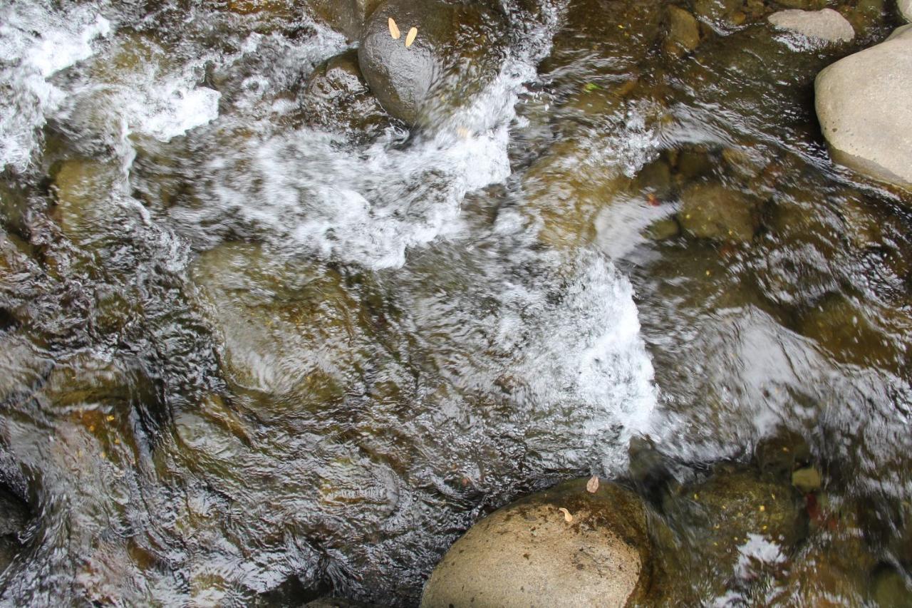Horquetas River Lodge Sarapiquí Dış mekan fotoğraf