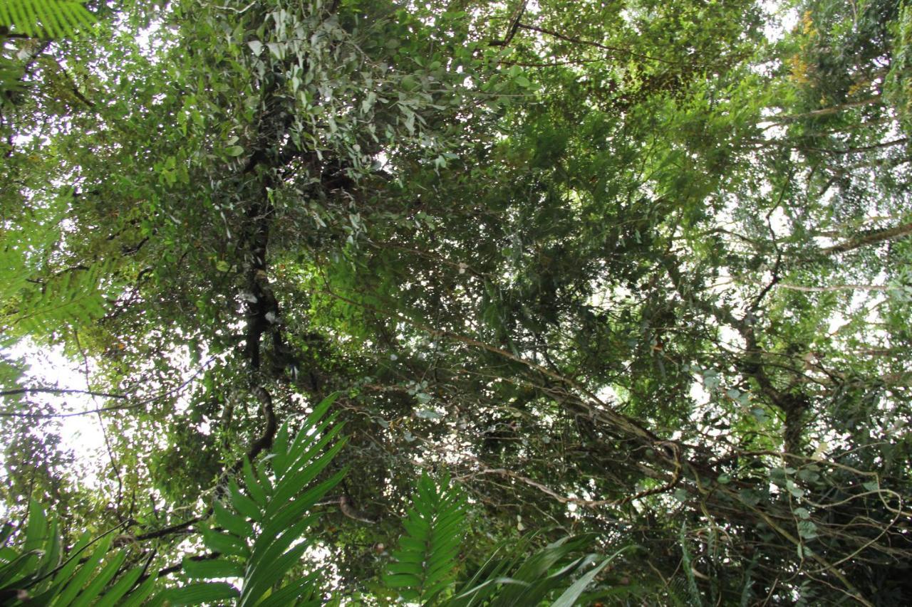 Horquetas River Lodge Sarapiquí Dış mekan fotoğraf