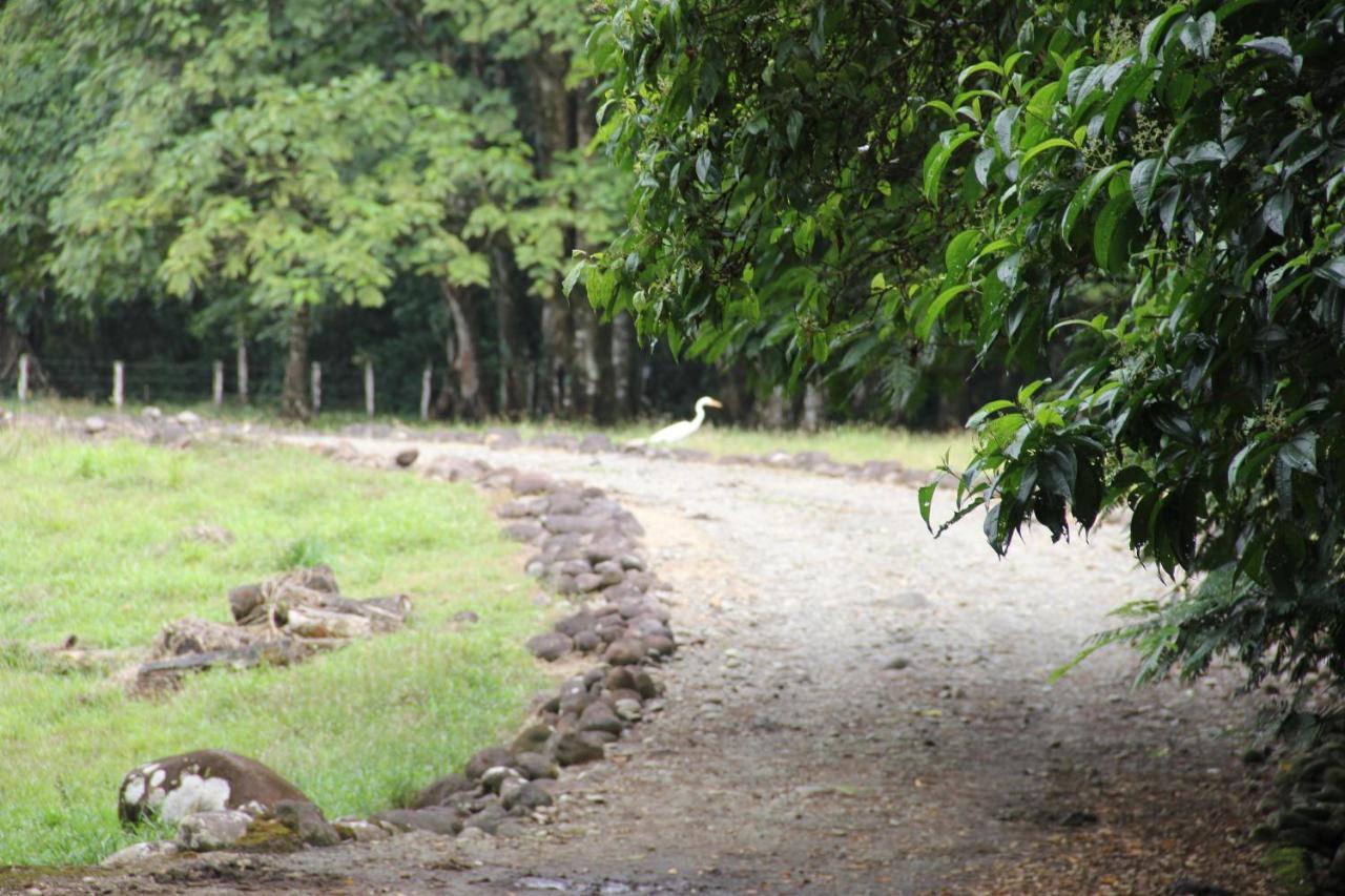 Horquetas River Lodge Sarapiquí Dış mekan fotoğraf