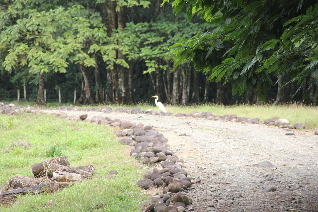 Horquetas River Lodge Sarapiquí Dış mekan fotoğraf