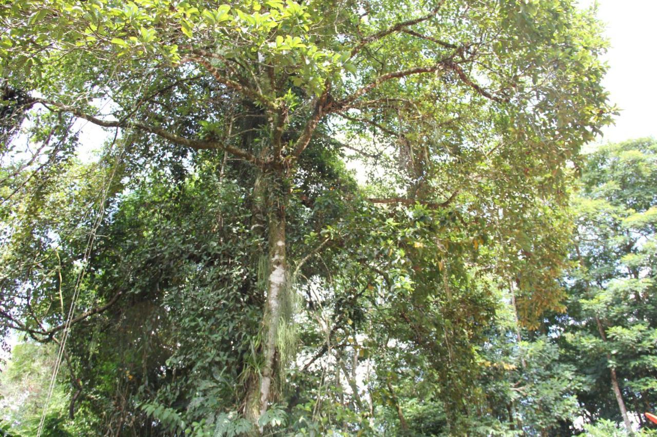 Horquetas River Lodge Sarapiquí Dış mekan fotoğraf