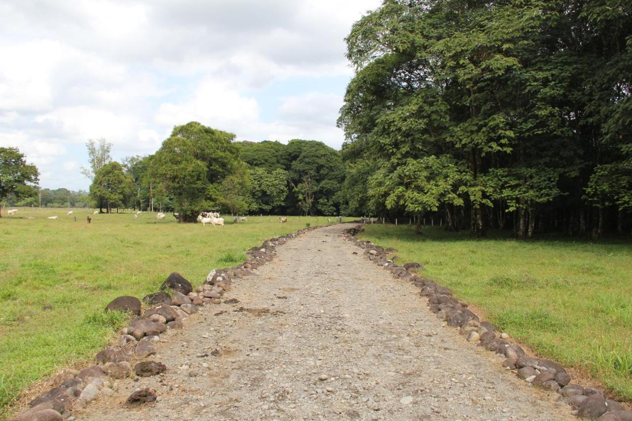 Horquetas River Lodge Sarapiquí Dış mekan fotoğraf