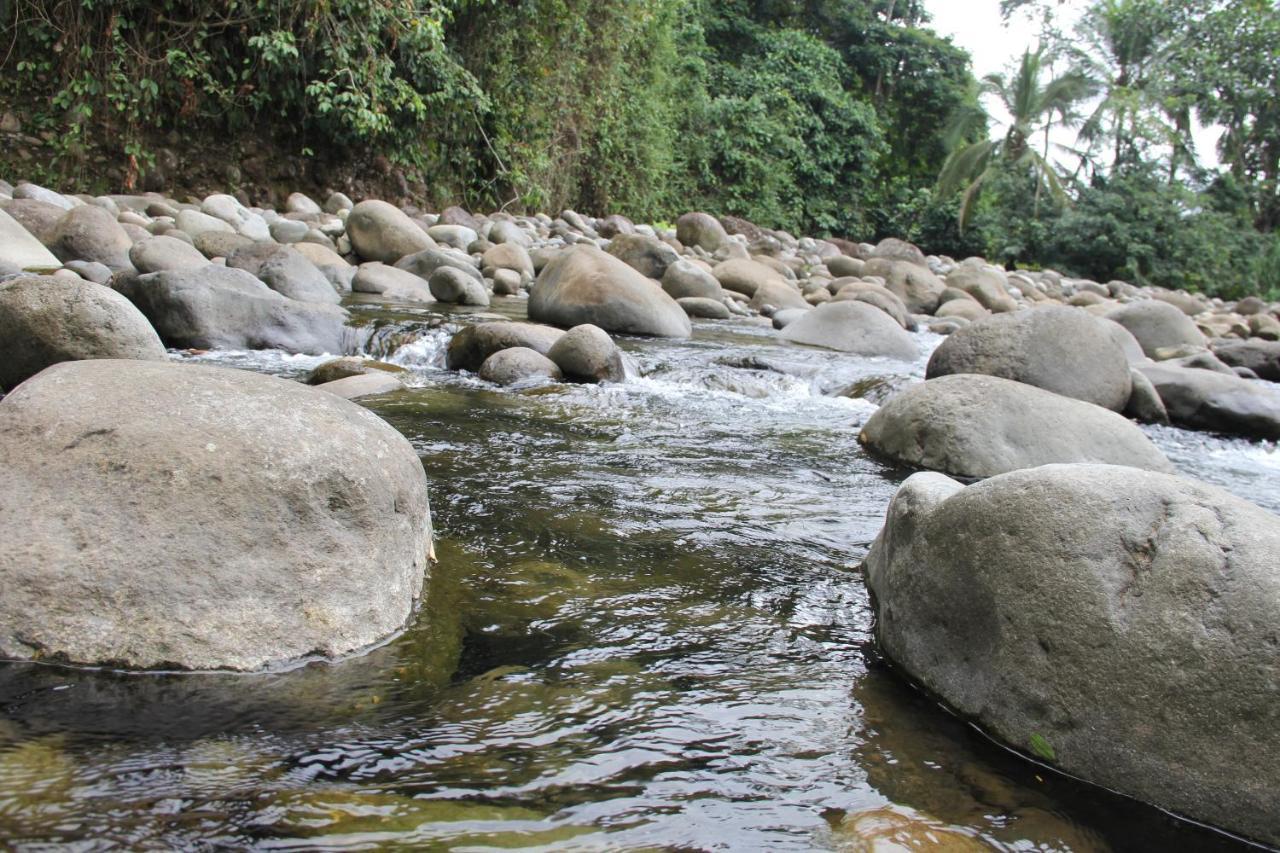 Horquetas River Lodge Sarapiquí Dış mekan fotoğraf