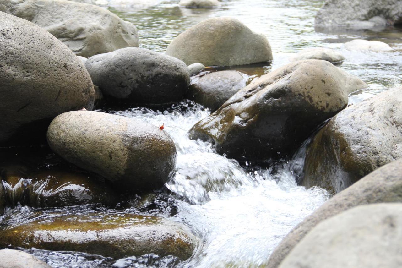 Horquetas River Lodge Sarapiquí Dış mekan fotoğraf