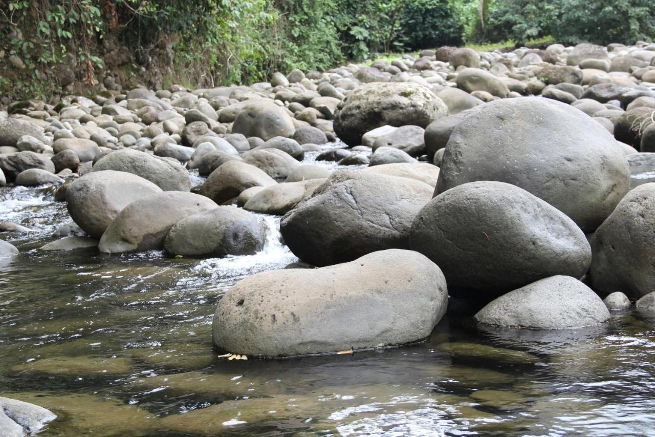 Horquetas River Lodge Sarapiquí Dış mekan fotoğraf
