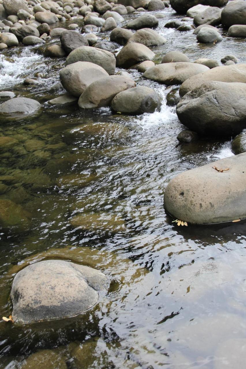 Horquetas River Lodge Sarapiquí Dış mekan fotoğraf